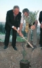 Visita di Stato in Israele - Messa a dimora di un ulivo nella Foresta della Pace