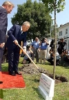 Il Presidente Ciampi con a fianco il Presidente della Repubblica Slovacca Schuster, mette a dimora,nei giardini presidenziali, "l'Albero dell'Amicizia".